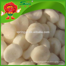 Health food organic frozen water chestnut wholesale